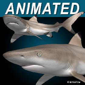 Goose (ANIMATED)